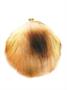 Star Trek Tribble Coin Purse