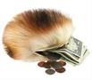 Star Trek Tribble Coin Purse
