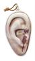 The Walking Dead Severed Ear Coin Purse