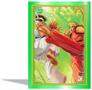 Street Fighter Alpha: Warriors' Dreams Trading Cards Collector Box | 2 Packs