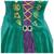 Hocus Pocus Wini Deluxe Adult Costume