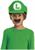 Super Mario Bros. Luigi Hat and Mustache Child Costume Kit