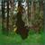Wicked Elphaba Broom Adult Costume Accessory