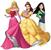 Disney Princess Treat Your Trunk Kit