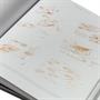 Star Trek The Original Series Celebration Book