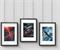 Eaglemoss Star Trek Universe Giclee Print 3-Pack