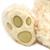 Philbin Teddy Bear 12-Inch Plush Toy | Beige