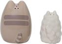 Pusheen and Stormy Ceramic Salt and Pepper Shakers