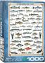 Freshwater Fish 1000 Piece Jigsaw Puzzle