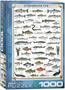 Freshwater Fish 1000 Piece Jigsaw Puzzle