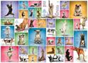 Yoga Dogs 1000 Piece Jigsaw Puzzle