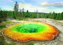 Morning Glory Pool 1000 Piece Jigsaw Puzzle
