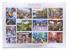 Funny Animals by Lucia Heffernan 1000 Piece Jigsaw Puzzle