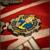Fallout Limited Edition Flip Coin
