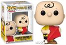 Peanuts Funko POP | Charlie Brown with Kite