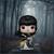Elvira Mistress of The Dark Funko POP Icons | Elvira Broom