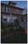 Super 12 Foot Light Up 99 LED Yard Web Halloween Decor