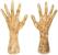 Fade In/Out Grave Breaker Hands Halloween Decor