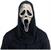 Ghost Face Aged Costume Mask