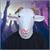 G.O.A.T Latex Adult Costume Mask | One Size Fits Most