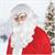 Santa Wig & Beard Costume Accessory