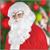 Santa Wig & Beard Costume Accessory