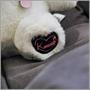 Sanrio Hello Kitty Kuromi 10 Inch Collector Plush