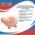 The Seven Deadly Sins 13-Inch Character Plush Toy | Hawk
