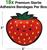 Strawberry Bandages | Set of 18 Individually Wrapped Self Adhesive Bandages