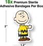 Peanuts Charlie Brown GAMAGO Bandages | Set of 18