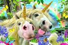 Howard Robinson Prime 3D Unicorn Selfie -500 pc
