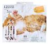 You Gotta Be Kitten Me Womens 12 Days of Socks in Advent Gift Box