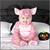 This Lil' Piggy Costume Infant