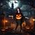 Jack-O-Lantern Adult Poncho Costume