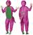 Barney Adult Costume