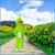 Teletubbies Dipsy Toddler Costume