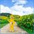 Teletubbies Laa-Laa Toddler Costume