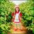 Strawberry Shortcake Toddler Costume
