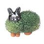 Chia Pet Grass Planter: Bunny