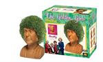 Golden Girls Chia Pet Dorothy Decorative Pottery Planter