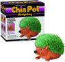 Hedgehog Chia Pet Decorative Planter