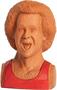 Richard Simmons Chia Pet Decorative Planter