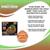 Star Wars: The Mandalorian The Child Baby Yoda Chia Pet Decorative Planter
