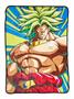 Dragon Ball Z Broly 45 x 60 Inch Fleece Throw Blanket