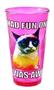 Grumpy Cat Fun 16oz Pint Glass
