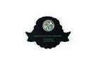 Garbage Pail Kids Adam Bomb 35th Anniversary Enamel 1.75 Inch Pin Toynk Exclusive
