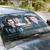 Riverdale Accordion Style Universal Auto Sunshade