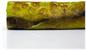 Pickles Fleece Throw Blanket | Large Soft Throw Blanket | 60 x 45 Inches