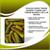 Pickles Fleece Throw Blanket | Large Soft Throw Blanket | 60 x 45 Inches