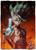 Dr. Stone Senku Ishigami 45 x 60 Inch Fleece Throw Blanket